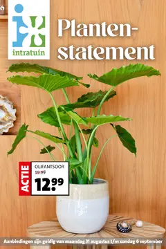 Intratuin folder voorblad