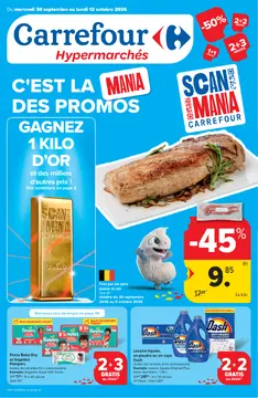 Carrefour couverture de brochure