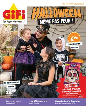 GiFi couverture de brochure