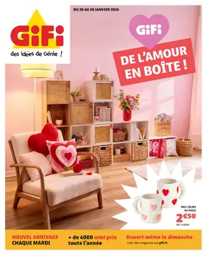 GiFi couverture de brochure