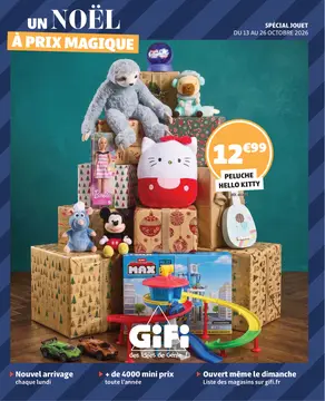 GiFi couverture de brochure