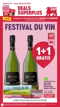 Delhaize couverture de brochure