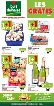 Louis Delhaize folder voorblad