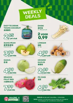 Amazing Oriental folder voorblad