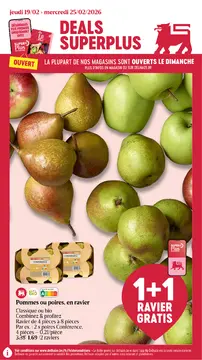 Delhaize couverture de brochure