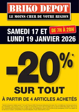 Briko Depot couverture de brochure