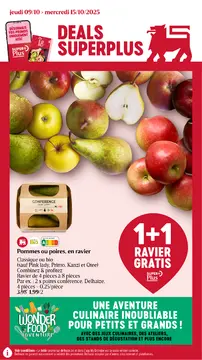 Delhaize couverture de brochure