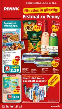 Penny DE folder voorblad