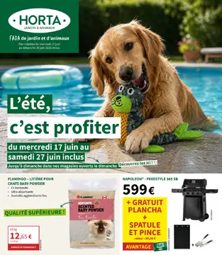 Horta couverture de brochure