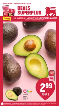 Delhaize couverture de brochure