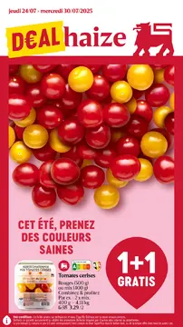 Delhaize couverture de brochure