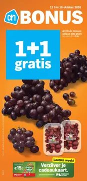 Albert Heijn folder voorblad