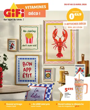 GiFi couverture de brochure