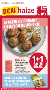 Delhaize couverture de brochure