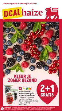 Delhaize folder voorblad