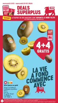 Delhaize couverture de brochure