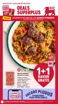 Delhaize couverture de brochure