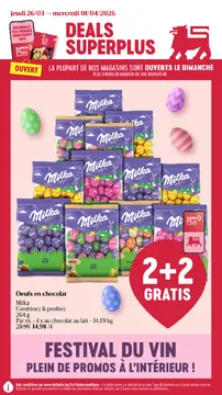 Delhaize couverture de brochure
