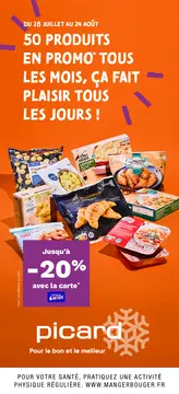 Picard couverture de brochure
