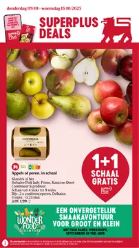 Delhaize folder voorblad