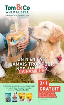 Tom & Co couverture de brochure
