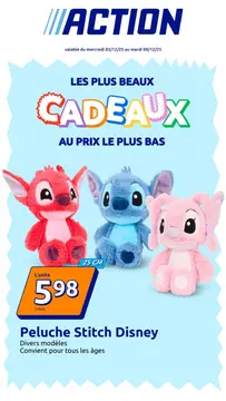 Action couverture de brochure