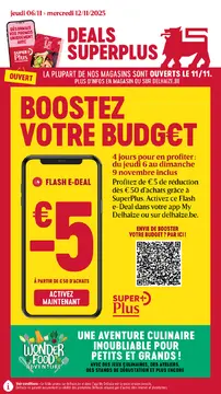 Delhaize couverture de brochure