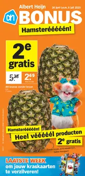 Albert Heijn folder voorblad