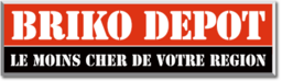 Briko Depot logo