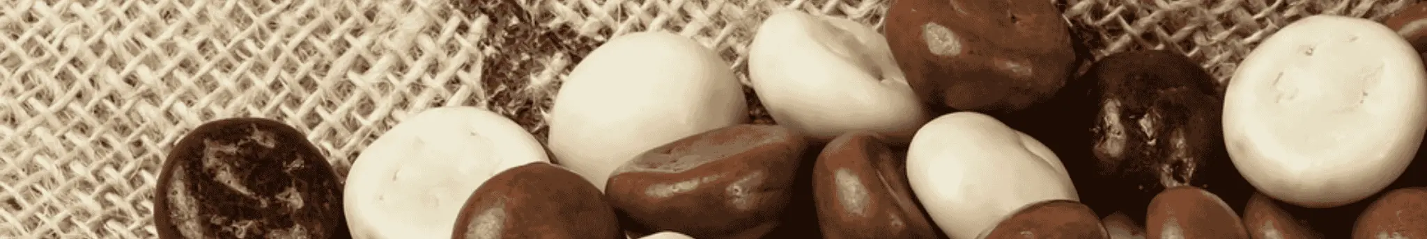 Witte chocoladekruidnoten, Melk chocoladekruidnoten en pure chocoladekruidnoten op de juttezak van Sinterklaas
